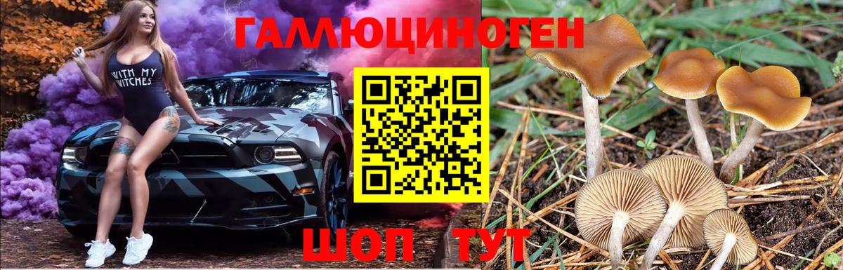 Псилоцибиновые грибы ЛСД Междуреченск